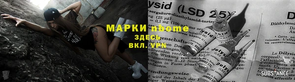 ГАЛЛЮЦИНОГЕННЫЕ ГРИБЫ Гусь-Хрустальный