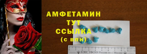 ГАЛЛЮЦИНОГЕННЫЕ ГРИБЫ Гусь-Хрустальный