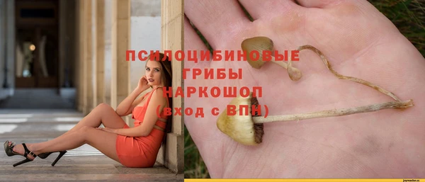 первитин Гусев