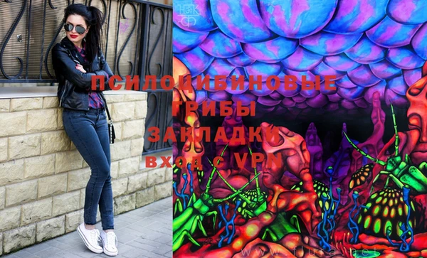 сатива Гусиноозёрск