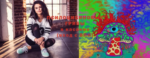 ГАЛЛЮЦИНОГЕННЫЕ ГРИБЫ Гусь-Хрустальный
