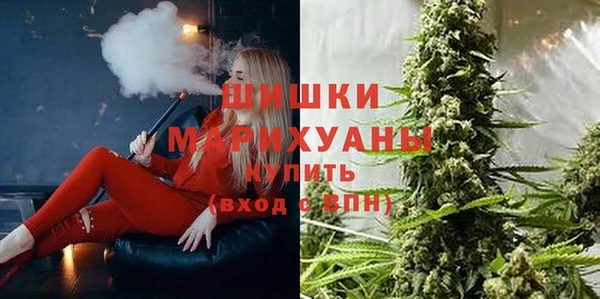 первитин Гусев