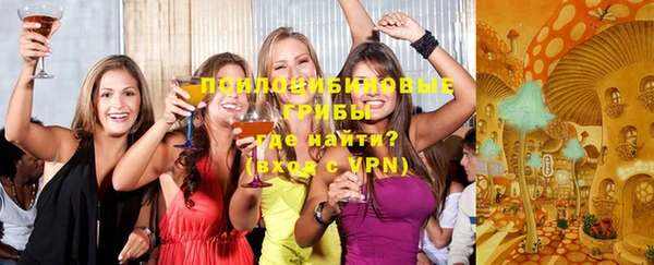ГАЛЛЮЦИНОГЕННЫЕ ГРИБЫ Гусь-Хрустальный