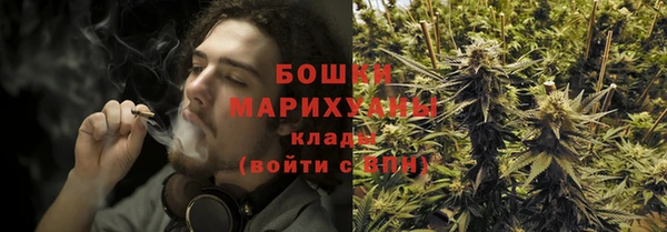 ГАЛЛЮЦИНОГЕННЫЕ ГРИБЫ Гусь-Хрустальный