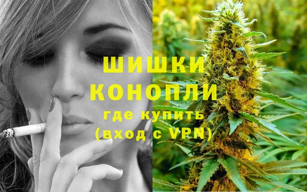 сатива Гусиноозёрск