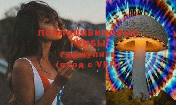 эйфоретик Саяногорск
